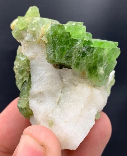 High quality top green - high,